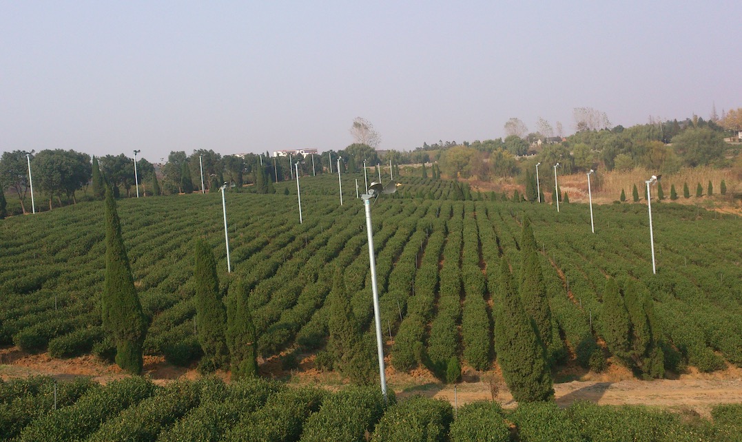 茶园防霜机～无锡市宜兴市岭下茶场茶园防霜机～贵州省安顺市茶叶果树